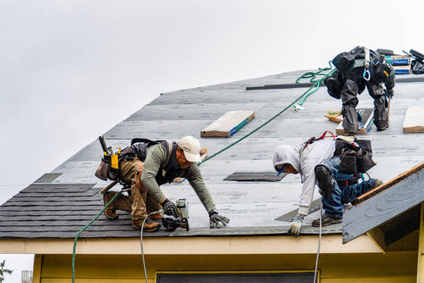 Professional Roofing technician working in Cambria, IL